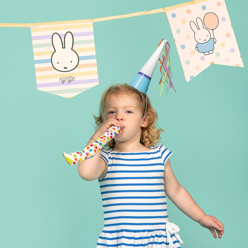 Haza - Witbaard Nijntje Vaantjes Slinger 4 meter | per stuk Haza - Witbaard Nijntje Vaantjes Slinger 4 meter | per stuk