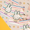 Haza - Witbaard Miffy Partytüten 17x23cm | 6 Stück Haza - Witbaard Miffy Partytüten 17x23cm | 6 Stück