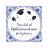 Paper Dreams Carreau bleu de Delft « Félicitations, vous avez réussi ! » | 15 x 15 cm Paper Dreams Carreau bleu de Delft « Félicitations, vous avez réussi ! » | 15 x 15 cm