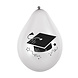Boland Ballonnen Geslaagd Graduation 30cm | 6 stuks Boland Ballonnen Geslaagd Graduation 30cm | 6 stuks