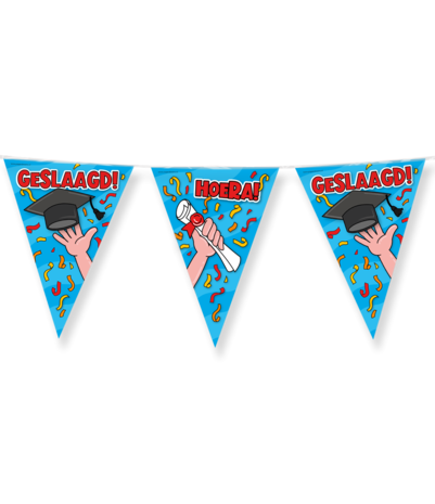 Paper Dreams Geslaagd Versiering Pakket Cartoon | L Paper Dreams Geslaagd Versiering Pakket Cartoon | L