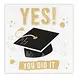 Boland Servetten Geslaagd Yes You Did It 33x33cm | 20 stuks Boland Servetten Geslaagd Yes You Did It 33x33cm | 20 stuks