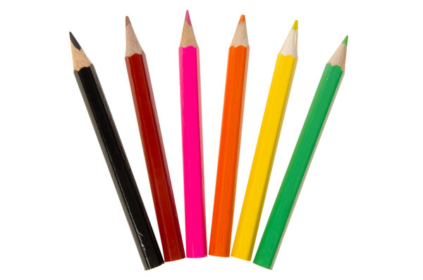 LG Imports Crayons de couleur Animaux de la jungle 9 cm | 24 boîtes