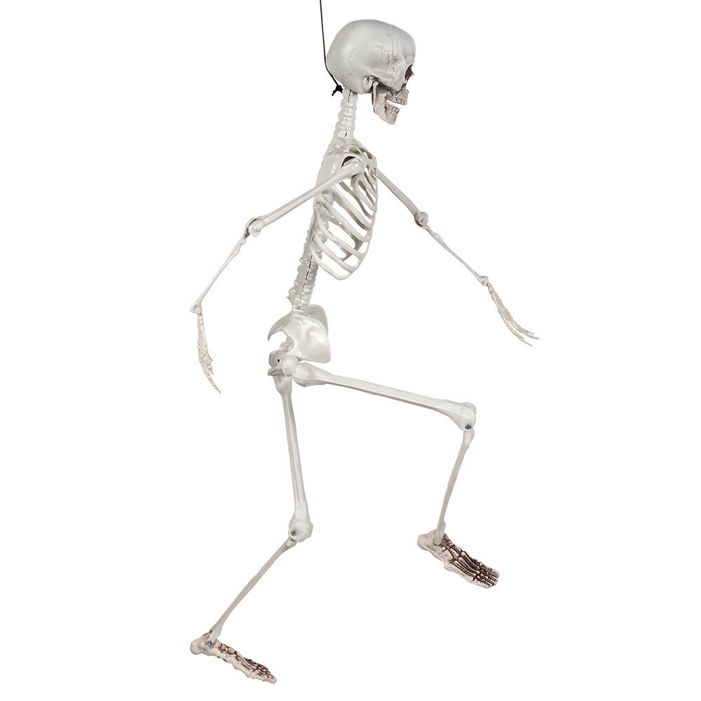 Boland Movable Skeleton Halloween 90cm | per piece