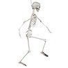 Boland Bewegliches Skelett für Halloween, 90 cm | pro Stück Boland Bewegliches Skelett für Halloween, 90 cm | pro Stück
