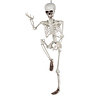 Boland Squelette articulé Halloween 90 cm | à l'unité Boland Squelette articulé Halloween 90 cm | à l'unité