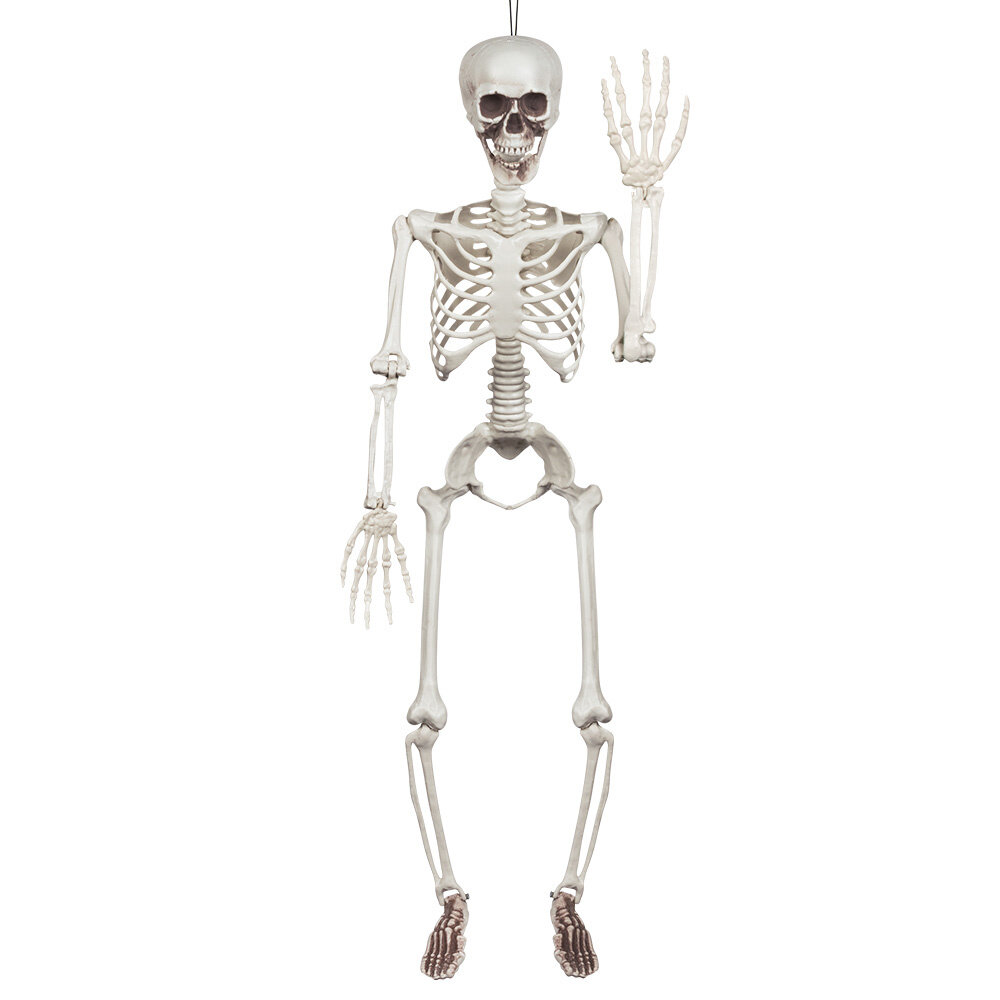Boland Bewegliches Skelett für Halloween, 90 cm | pro Stück