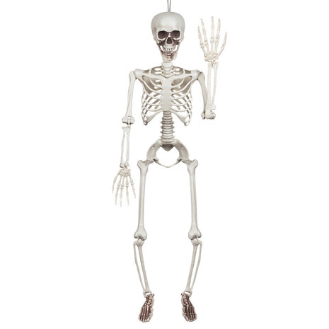 Boland Skelet Beweegbaar Halloween 90cm | per stuk Boland Skelet Beweegbaar Halloween 90cm | per stuk