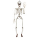 Boland Squelette articulé Halloween 90 cm | à l'unité