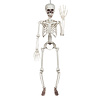 Boland Bewegliches Skelett für Halloween, 90 cm | pro Stück Boland Bewegliches Skelett für Halloween, 90 cm | pro Stück