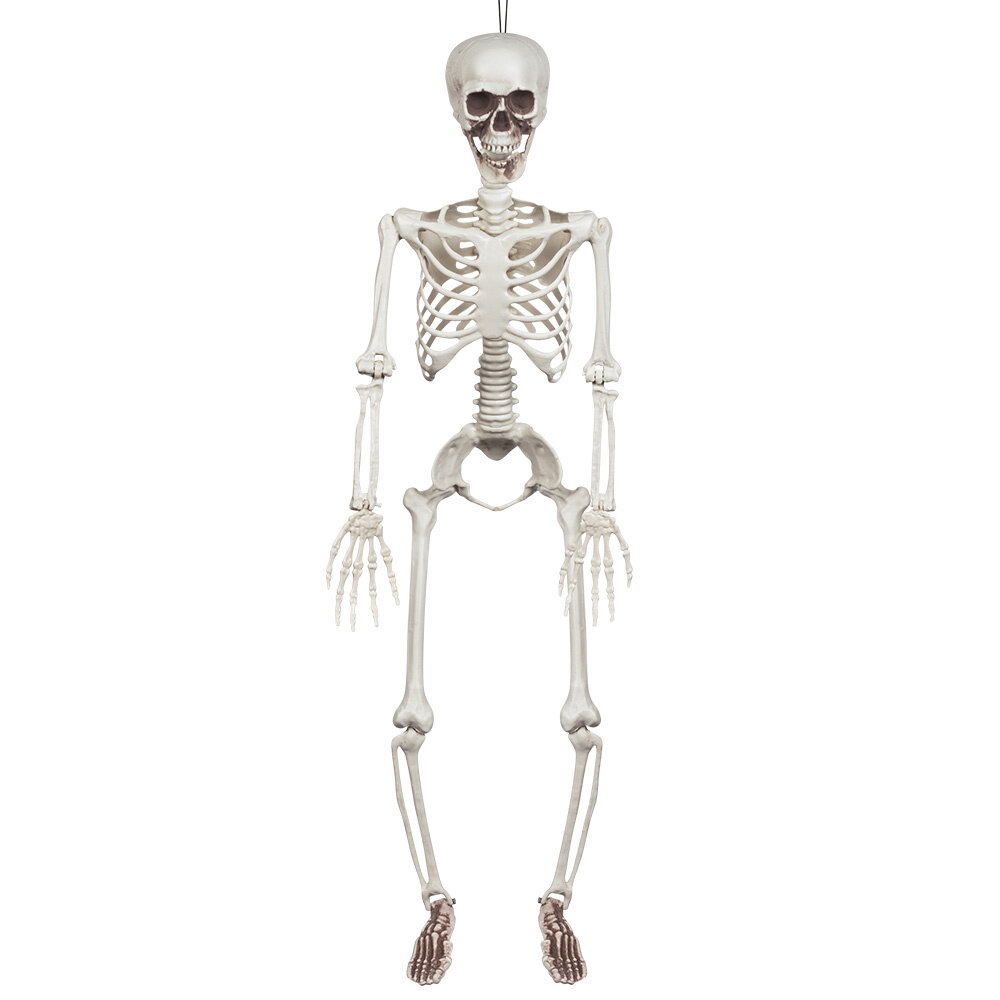Boland Skelet Beweegbaar Halloween 90cm | per stuk Boland Skelet Beweegbaar Halloween 90cm | per stuk