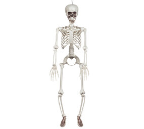 Boland Skelet Beweegbaar Halloween 90cm | per stuk Boland Skelet Beweegbaar Halloween 90cm | per stuk