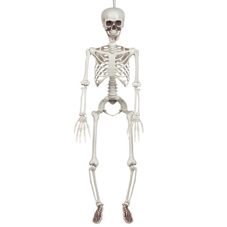 Boland Skelet Beweegbaar Halloween 90cm | per stuk Boland Skelet Beweegbaar Halloween 90cm | per stuk