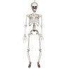 Boland Squelette articulé Halloween 90 cm | à l'unité Boland Squelette articulé Halloween 90 cm | à l'unité