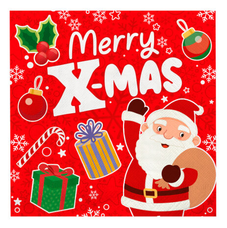 Paper Dreams Christmas Napkins X-Mas 33x33cm | 16 pieces