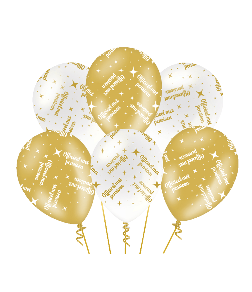 Paper Dreams Ballonnen Pensioen Fancy 30cm | 6 stuks