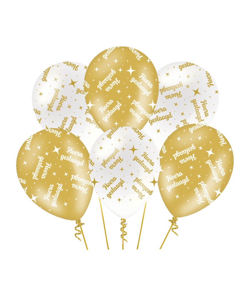 Paper Dreams Ballonnen Geslaagd Fancy 30cm | 6 stuks