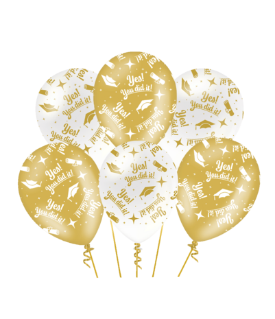 Paper Dreams Ballonnen You Did It Fancy 30cm | 6 stuks