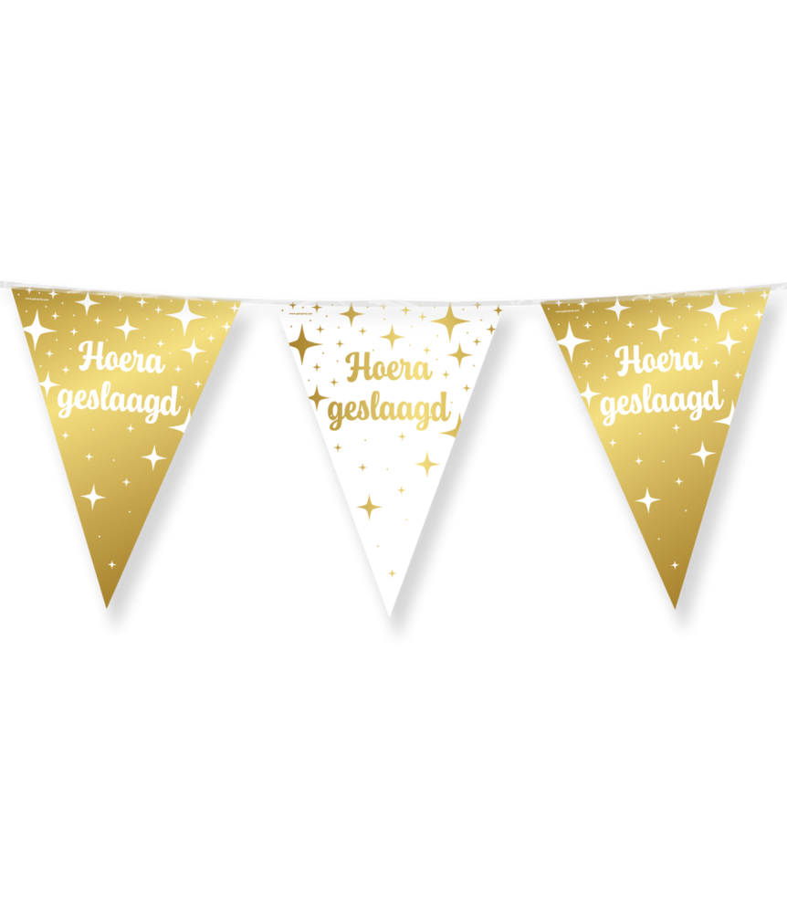 Paper Dreams Slinger Geslaagd Fancy 10 mtr | per stuk