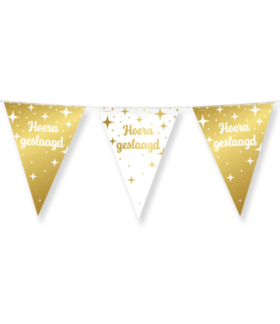 Paper Dreams Slinger Geslaagd Fancy 10 mtr | per stuk