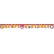 Procos Party Pokemon Letter Garland 230cm | per piece