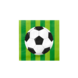 Paper Dreams Compleet Voetbal Feestpakket | Tafeldecoratie | 16 personen