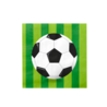 Paper Dreams Forfait complet pour une fête sur le thème du football | Décoration de table | 16 personnes