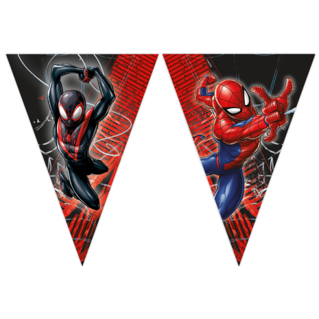 Procos Party Spiderman Vlaggenlijn World Of Webs 2,3mtr | per stuk