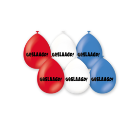 Paper Dreams Ballonnen Geslaagd 30cm | 6 stuks