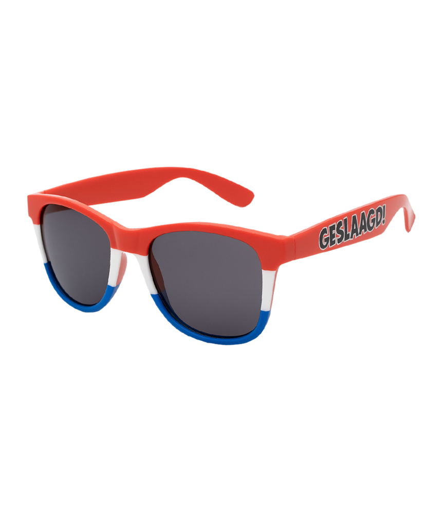 Paper Dreams Feest Bril Geslaagd | per stuk