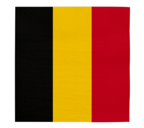 WeFiesta Servetten Belgie 33x33cm | 20 stuks WeFiesta Servetten Belgie 33x33cm | 20 stuks