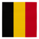 WeFiesta Serviettes Belgique 33x33 cm | 20 pièces