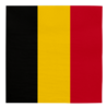 WeFiesta Servietten Belgien 33x33 cm | 20 Stück