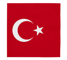 WeFiesta Serviettes Turquie 33x33 cm | 20 pièces WeFiesta Serviettes Turquie 33x33 cm | 20 pièces