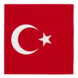 WeFiesta Turkey napkins 33x33cm | 20 pieces WeFiesta Turkey napkins 33x33cm | 20 pieces