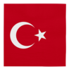 WeFiesta Turkije servetten 33x33cm | 20 stuks