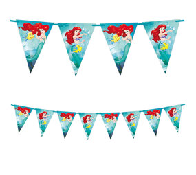 Procos Party Princess Vlaggenlijn 2,3m | per stuk Procos Party Princess Vlaggenlijn 2,3m | per stuk