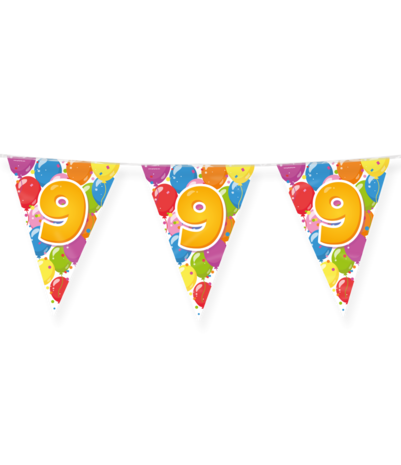 Paper Dreams Vlaggenlijn Slinger 9 jaar Party 10 mtr | per stuk Paper Dreams Vlaggenlijn Slinger 9 jaar Party 10 mtr | per stuk