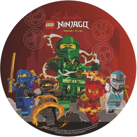 Riethmüller Lego Ninjago Plates 23 cm | 8 pieces Riethmüller Lego Ninjago Plates 23 cm | 8 pieces
