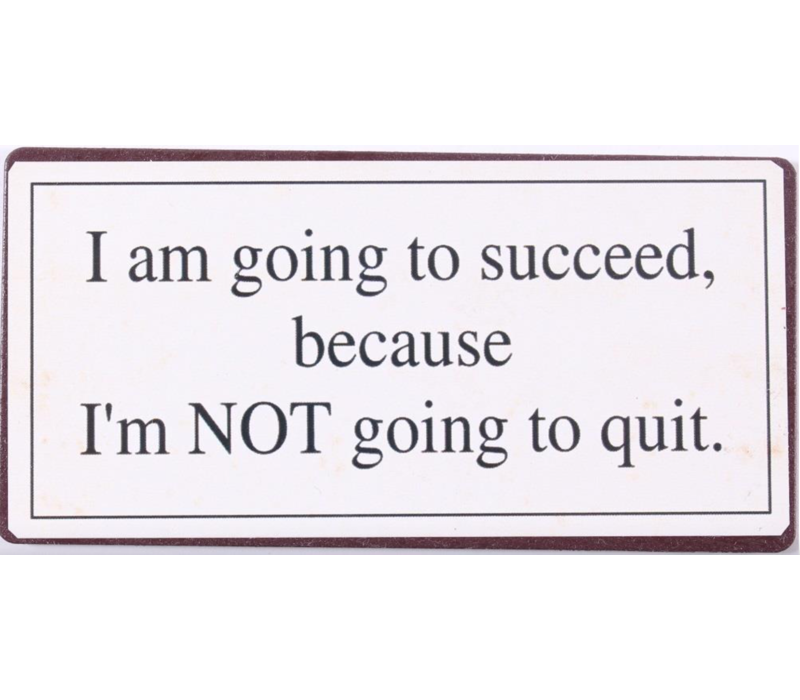 I am going to succeed because I'm NOT going to quit