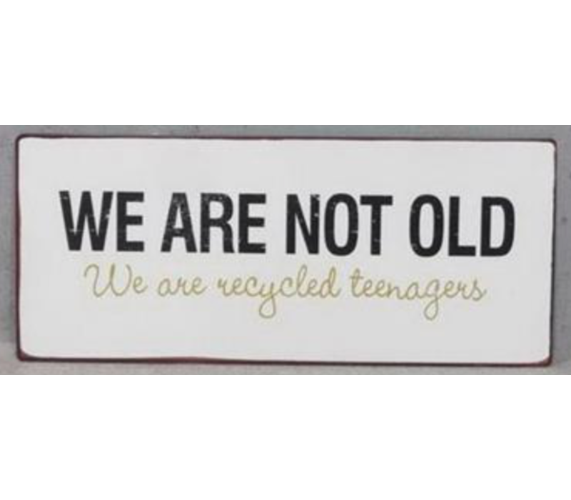 We are not old, we are recycled teenagers