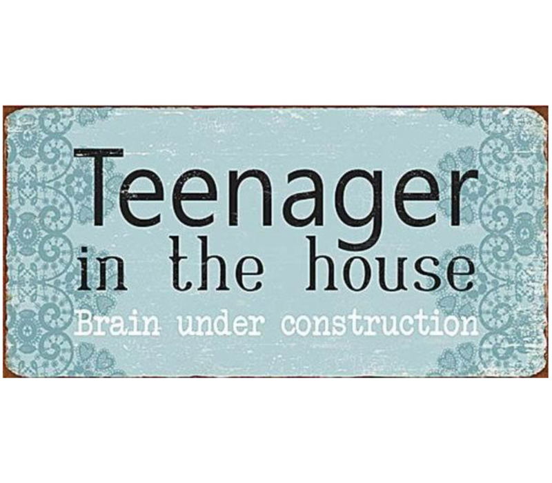 Teenager in the house brain under construction