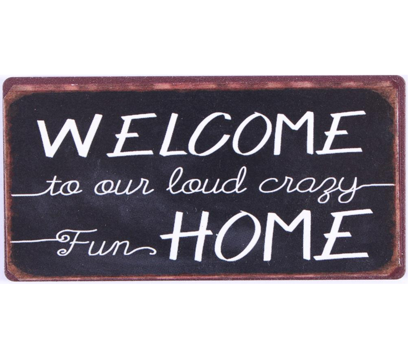 Welcome to our loud crazy fun home