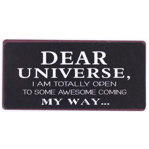 DEAR UNIVERSE 