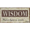 Wisdom begins in wonder - Socrates