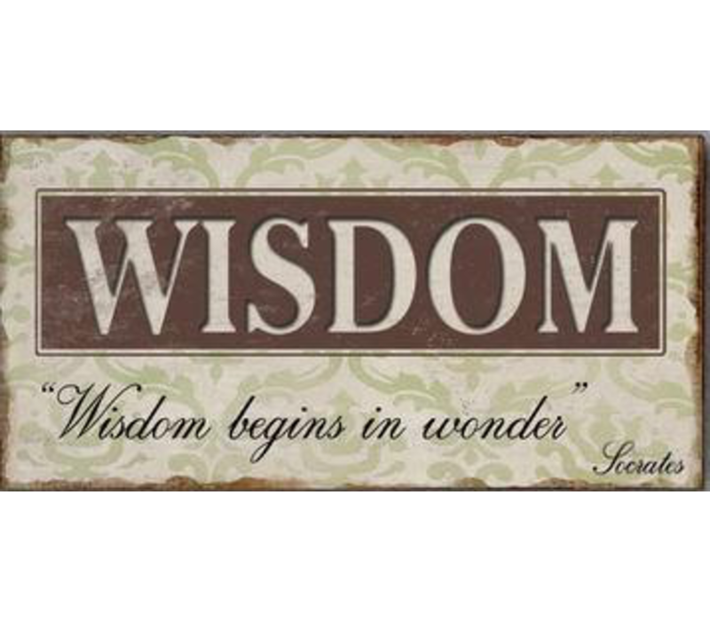 Wisdom begins in wonder - Socrates