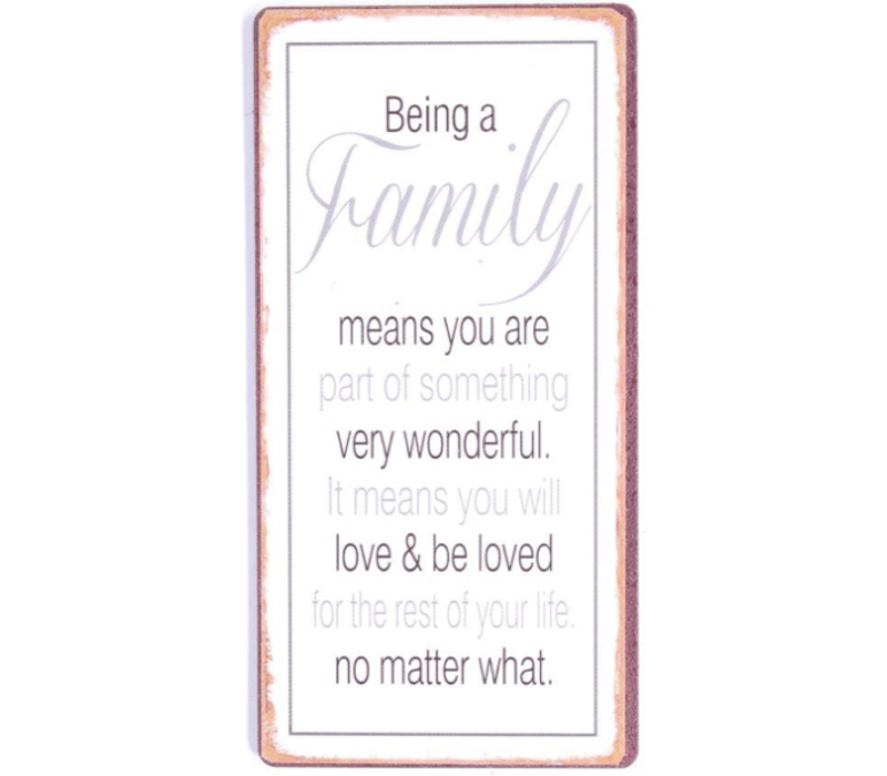 Being a family means you are part of something very wonderful. It means you will love & be loved for the rest of your life no matter what.