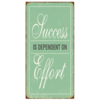 Succes is dependent on effort