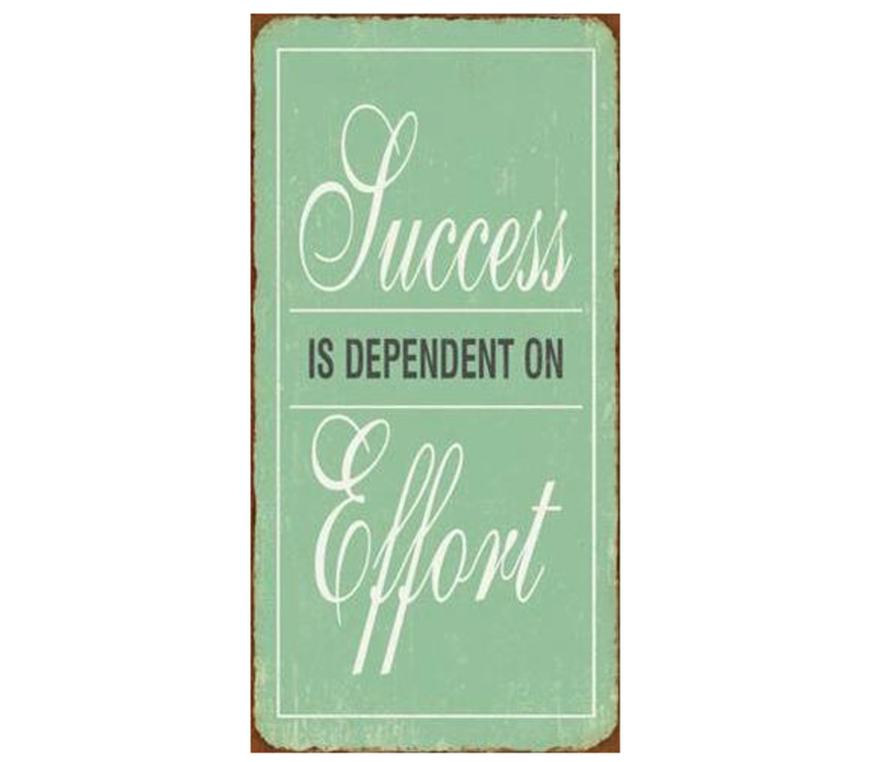 Succes is dependent on effort