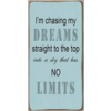 CHASING DREAMS